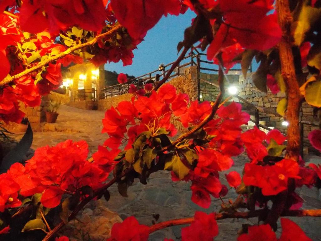 Casale Del Golfo Guest House Castellammare del Golfo Bagian luar foto